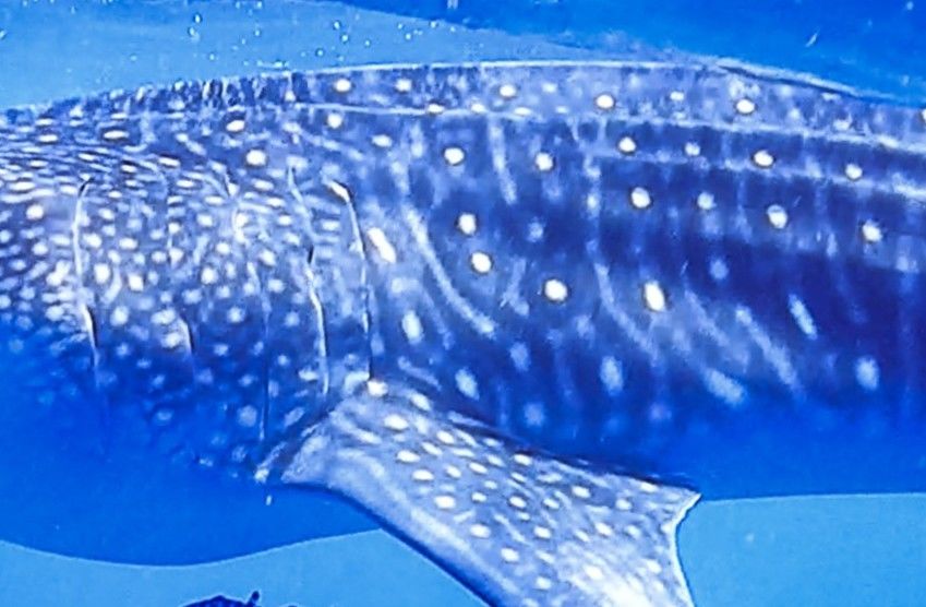 67fb1be0-22a6-4d78-a50c-c403e5495438