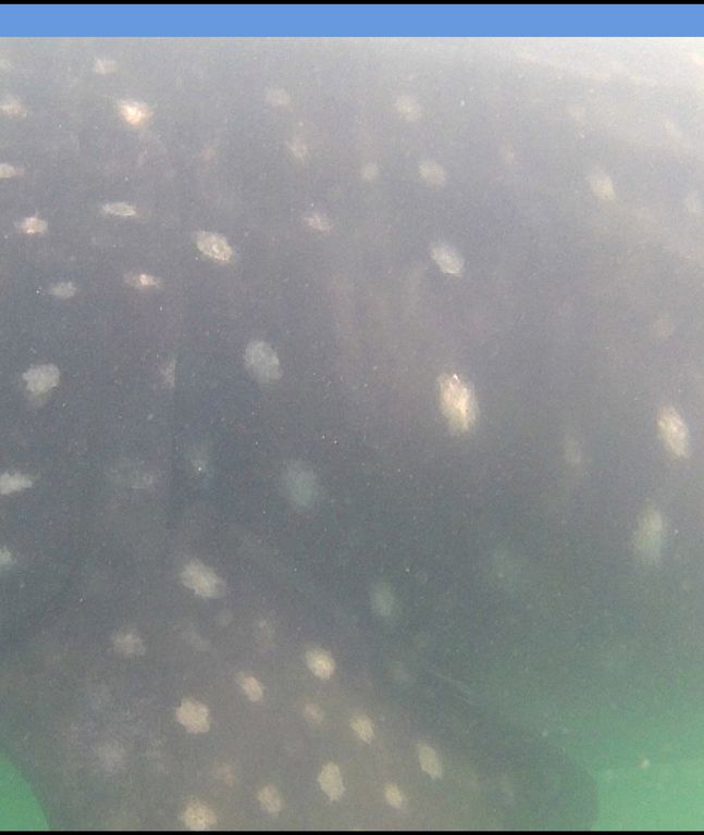 d07171ef-5bf1-4c94-9297-bb30252d3d0b