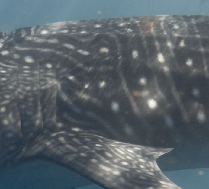 3c4bfeb8-60cd-41f5-bfb1-51b723db946c