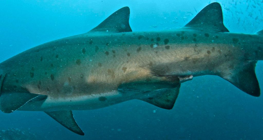 8dc92cfb-33e8-4a14-9ce8-8dd9f512023c