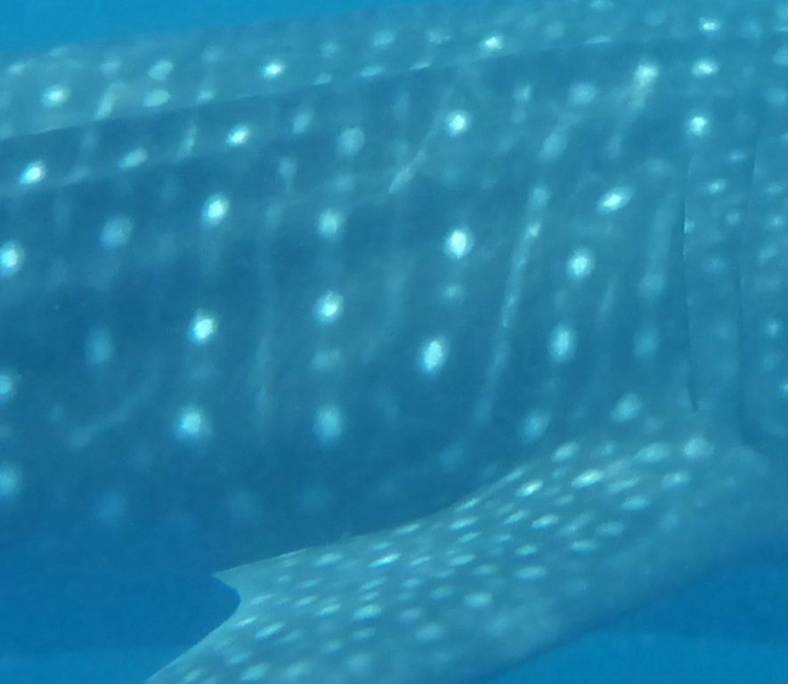 e65c9833-b014-4a1a-9d25-17194640bc7f