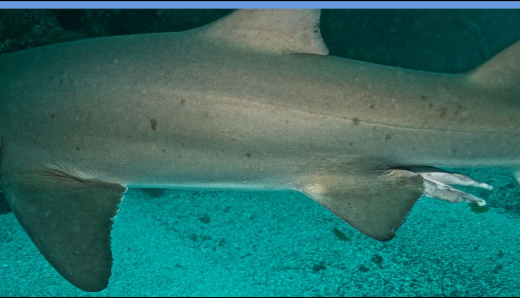 28c2395e-eee7-4d22-bbce-dc018f885c3b