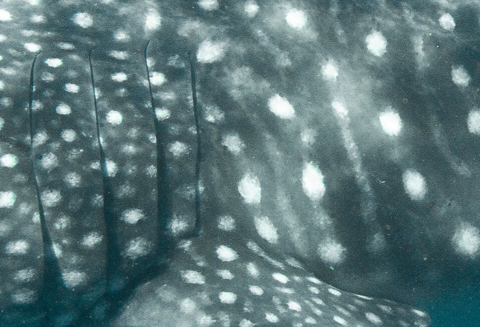 1aa9c1bc-9cb7-49e6-bc8c-5268010945f9