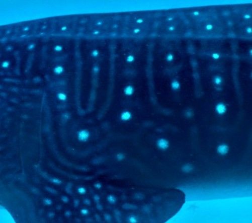 c945d85b-f806-4148-999d-b56fcfb112a2