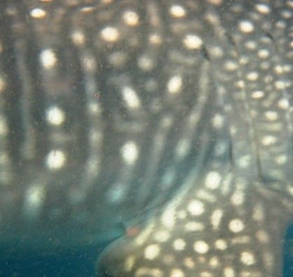 c5f9dc34-bd97-49f1-ace1-cce10a1f98dd