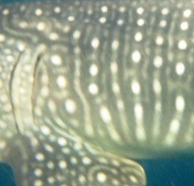 c5f9dc34-bd97-49f1-ace1-cce10a1f98dd