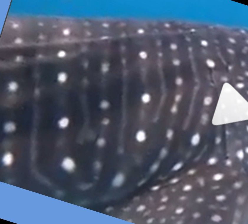 e825c52e-cd01-43b9-bf1c-58cbd0bc0104