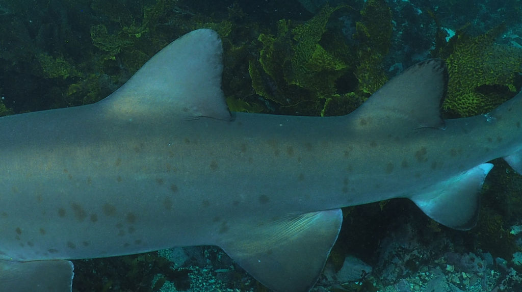 f074efd9-b786-4889-8afa-97b98703040e