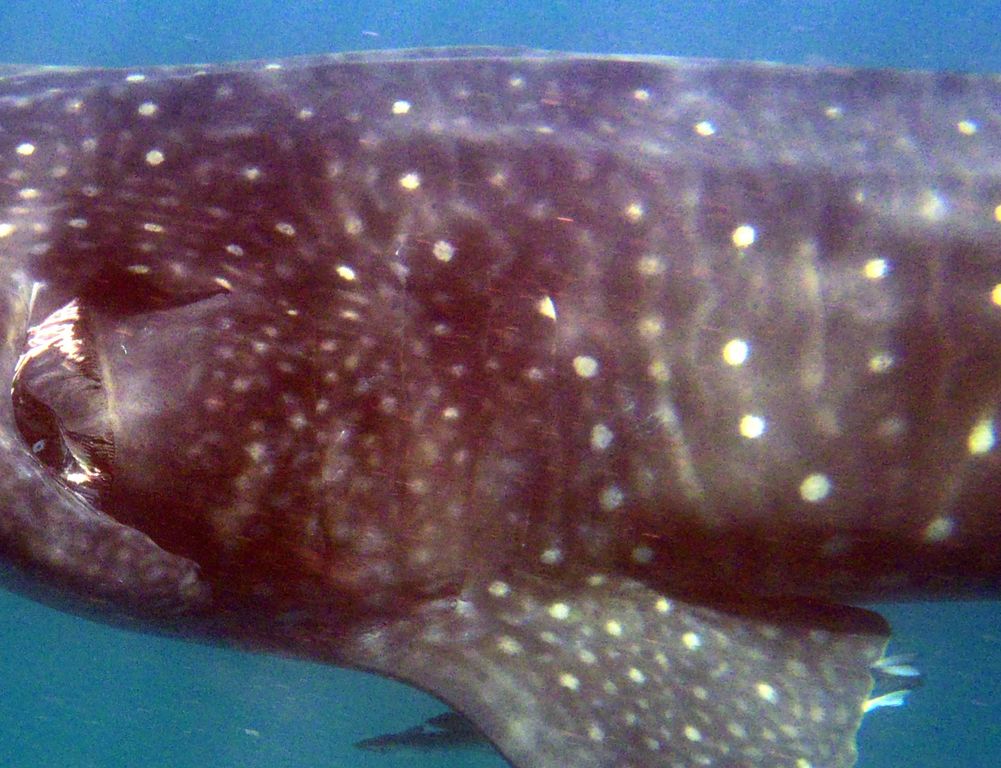 72ed773f-b66d-4119-a84f-46ab43240feb