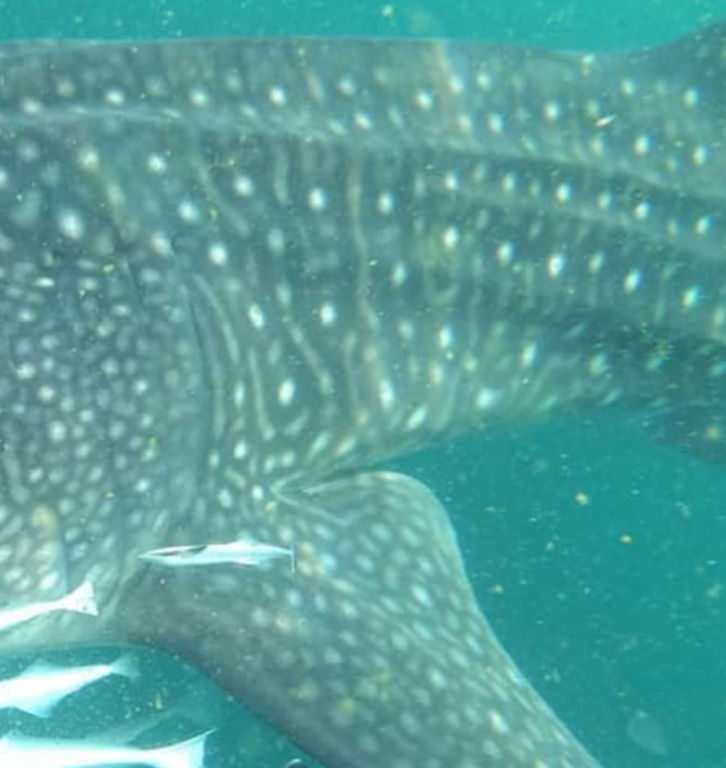 35ddb7e7-3438-4645-a74c-5698f568bf57