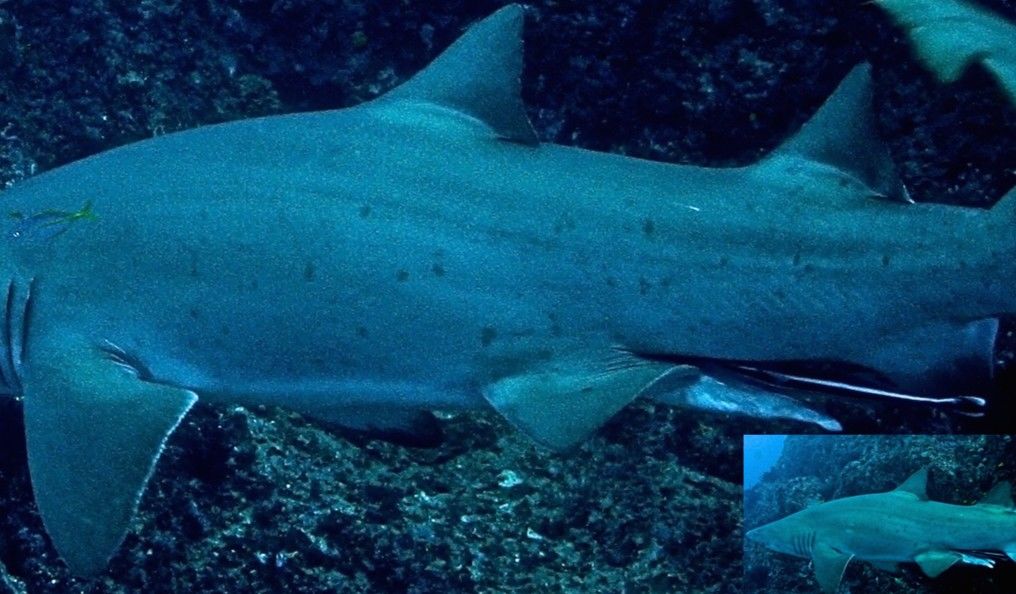 571e7931-8f34-47ad-a39a-7900f9c3d8b0