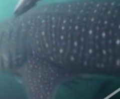 404d446c-b7d4-44f9-8f8a-6a4a91169fac