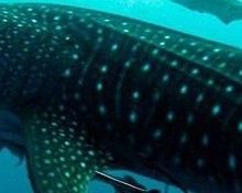 00a07f38-3d8b-44dd-96bf-bcdabc1ee866