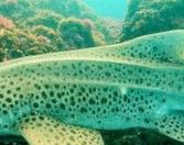 5f37f3d3-56c4-4c50-b173-ef9971ec4262