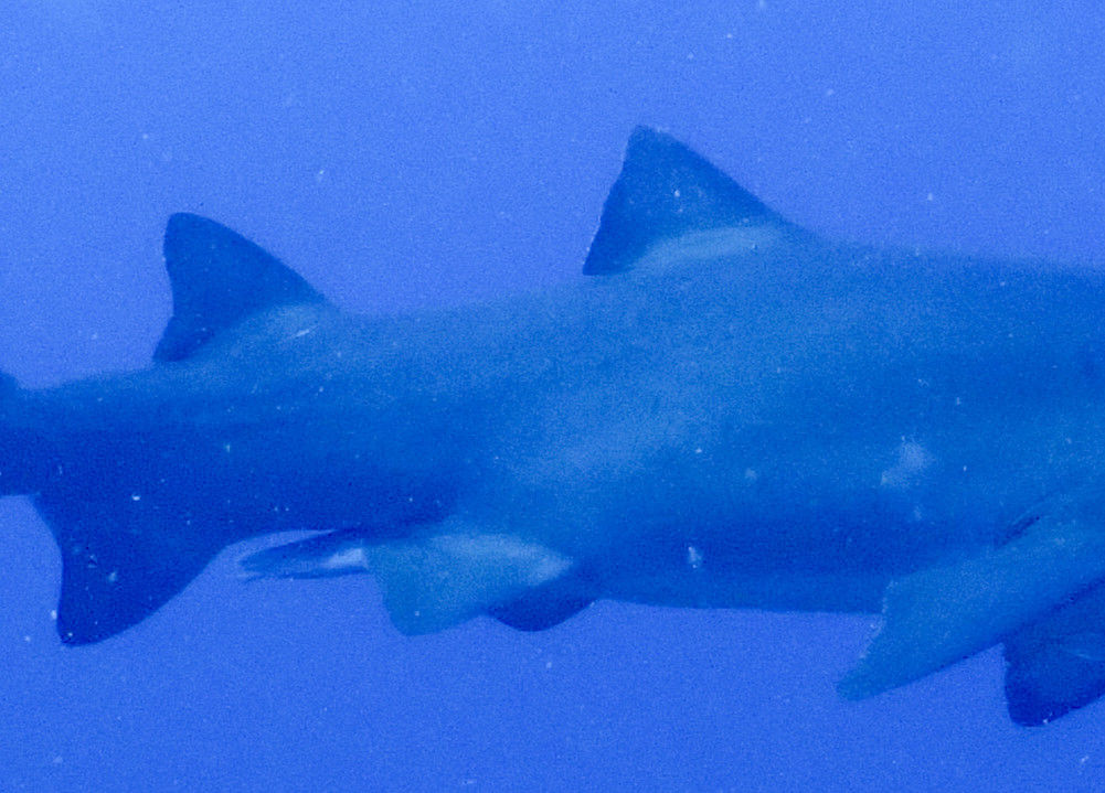 c146b4ac-6188-48c4-91d7-2f90f2ac6c19