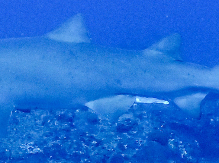 c146b4ac-6188-48c4-91d7-2f90f2ac6c19