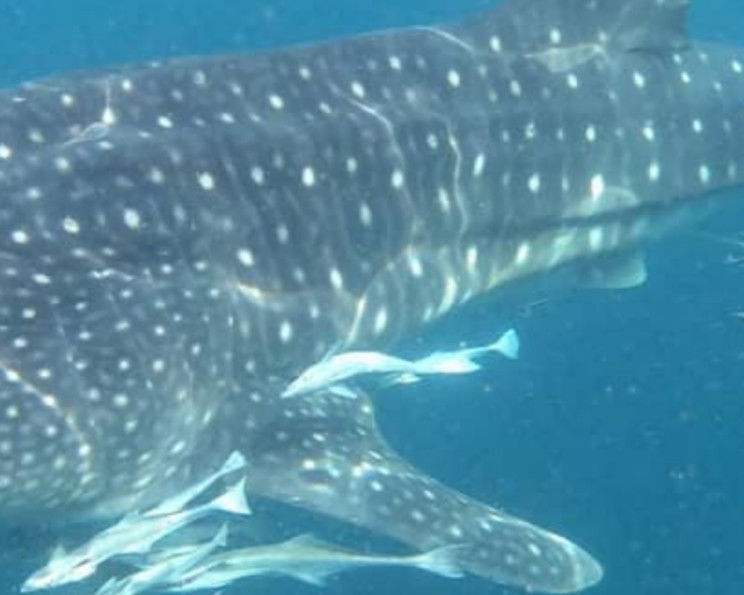 742959b3-f12b-4ee2-b7b0-a4f35796a404