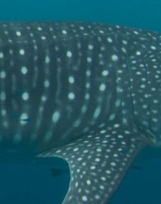 1c9dcca0-46c1-4dc7-9bae-698855ee4c9a