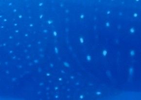 08f8931a-7690-49df-97d5-e10f8e457873