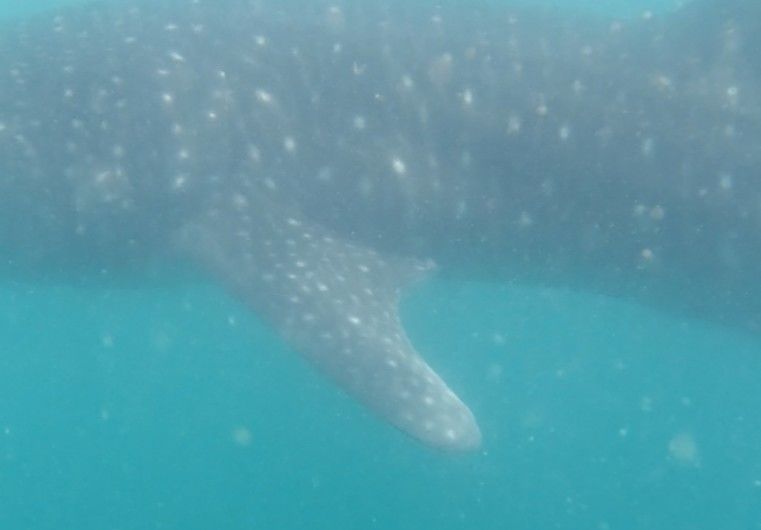 fcd22a07-5b9a-48e4-89a5-8f7dbb18bf6a