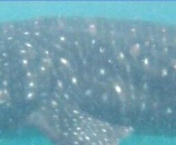 fcd22a07-5b9a-48e4-89a5-8f7dbb18bf6a