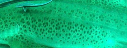 6c814f32-7735-4198-9508-a656d8b631ce