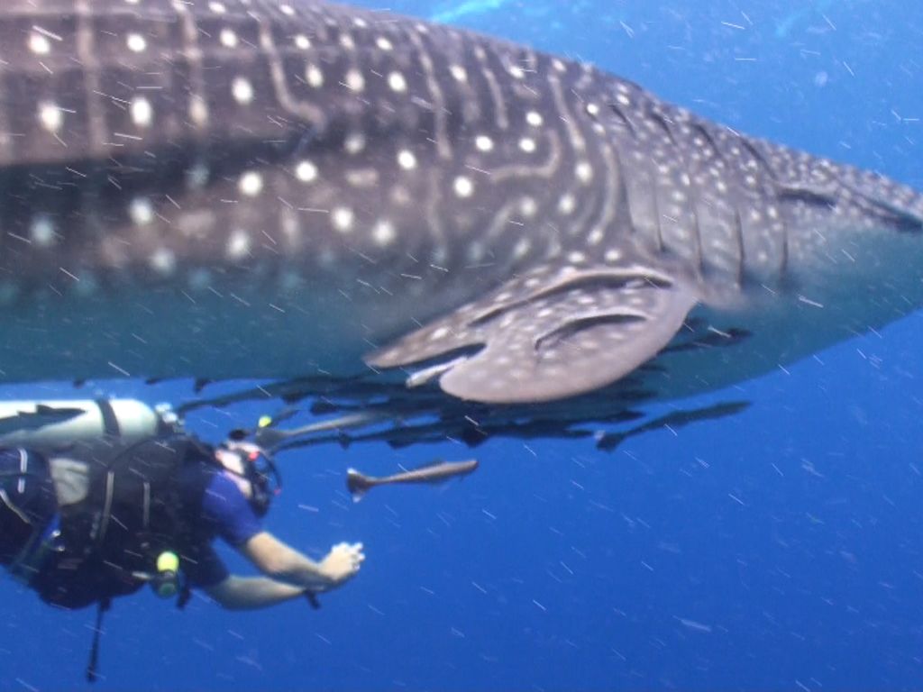 46014880-b765-4a0a-a7b3-276b18034c6a