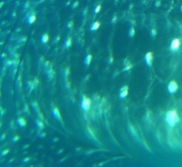 39f4430b-244c-47f0-a8bf-212635b47ca0