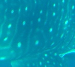 39f4430b-244c-47f0-a8bf-212635b47ca0