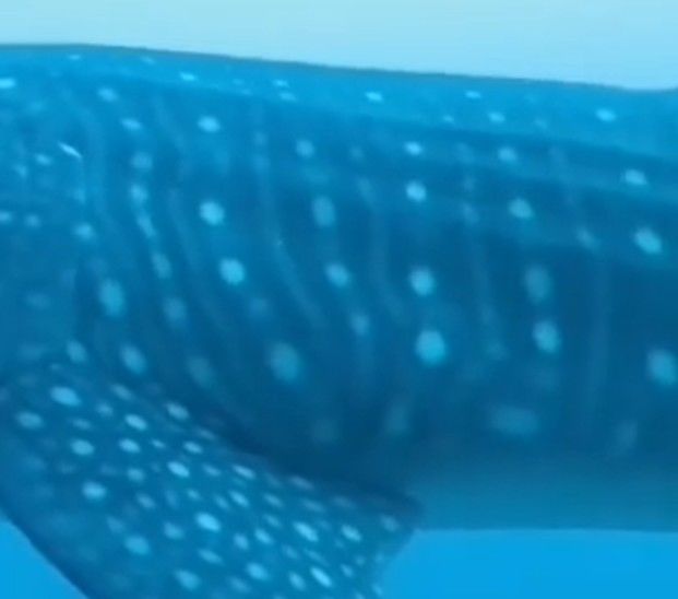 264515c3-4efa-4a49-805c-a3d47fb5d19e