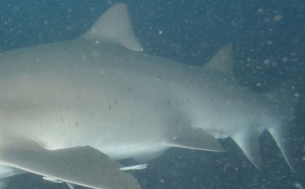 d32ccc4f-db98-4fed-833d-672dcead86cc