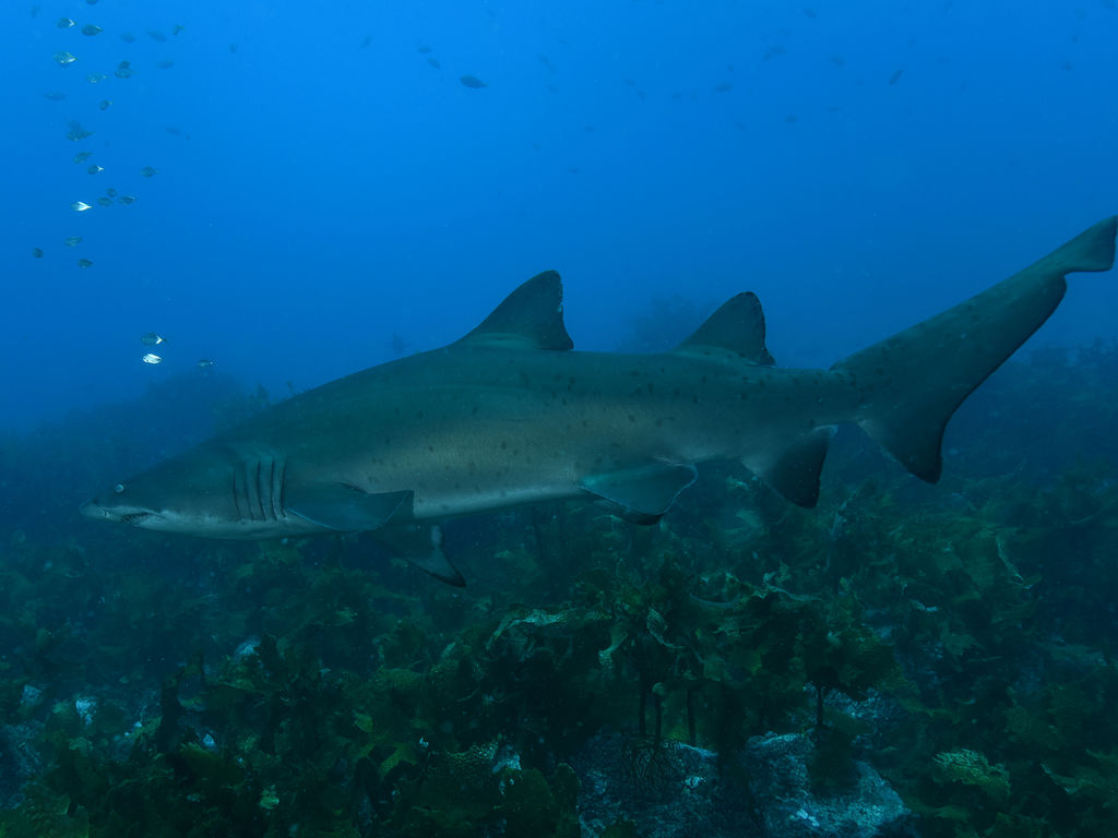 deba7fb3-6e8f-46c9-bba9-f38b64a7871a