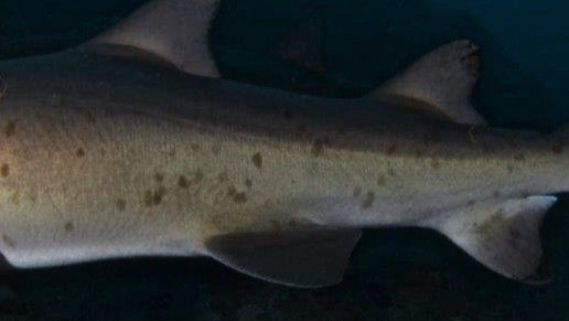 b374729d-cc8b-4e19-86ca-3fd3f41dcf98