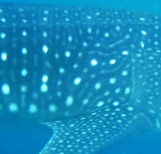 b96cec61-4149-4122-95e3-935b6ab99f28