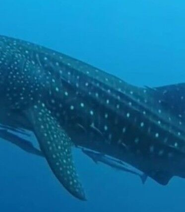 01639293-bcfe-4525-9a83-2d422a5d8174