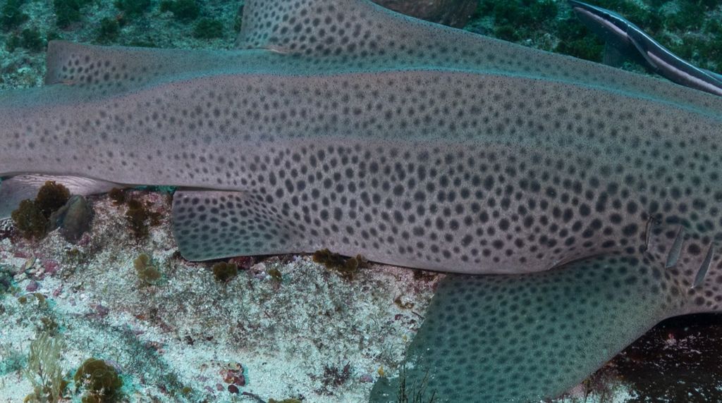 46de667d-9e59-4cd4-8aa4-a4901baf71ac