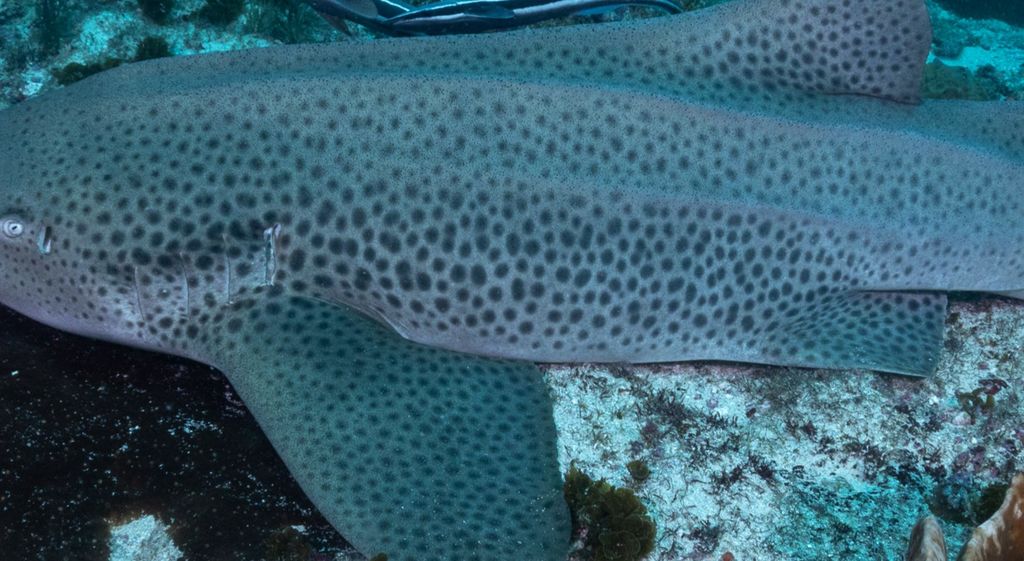 46de667d-9e59-4cd4-8aa4-a4901baf71ac