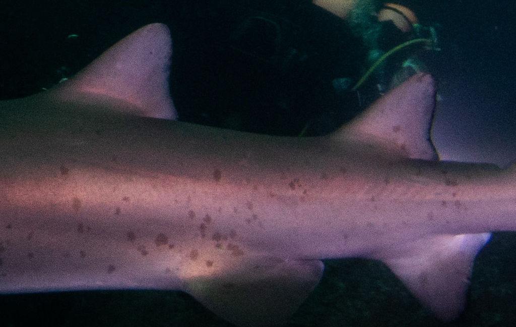 8ea088f3-528d-4322-b5bc-3cd26b485ce8