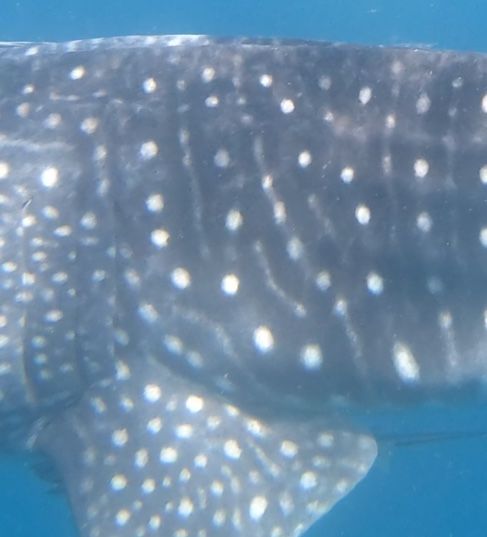 fafdf062-074c-4d9e-a2f4-0ccf1b925a9b