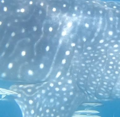 fafdf062-074c-4d9e-a2f4-0ccf1b925a9b