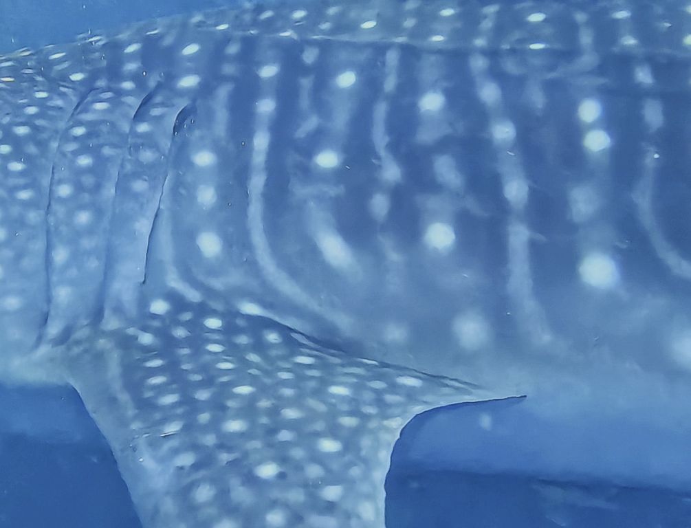 5126dc7e-f759-4ad0-a433-6bc3aad46146