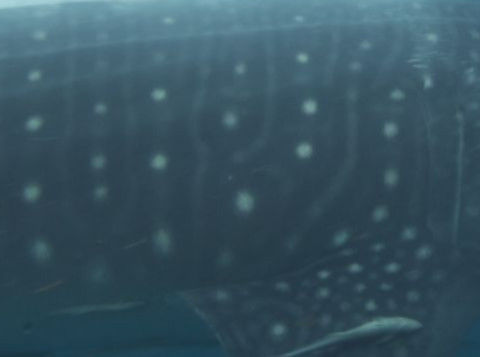 b8653c85-3c0a-45d9-980f-9e1a5bbcff30