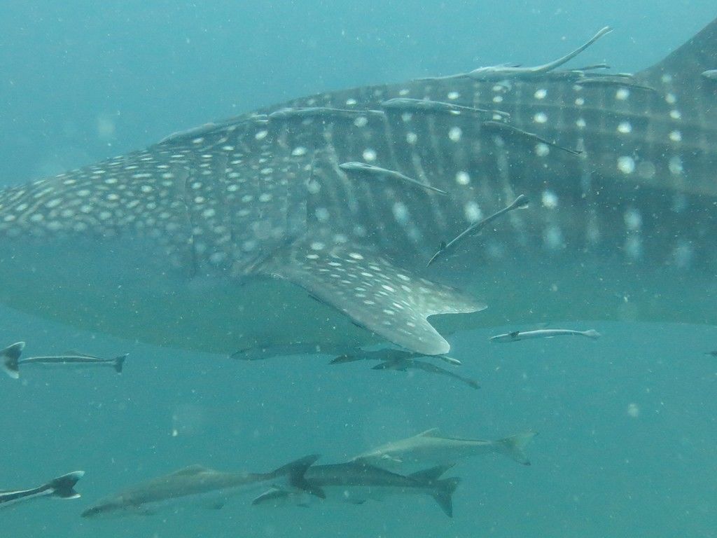 192af12a-b5e8-4e22-b5b8-c52324a0809c