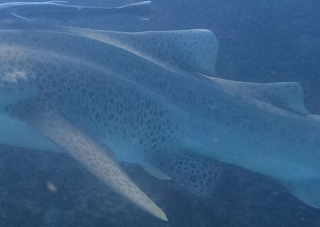 26d5be9a-1dc7-4d89-bb5e-0cb38a025eb8