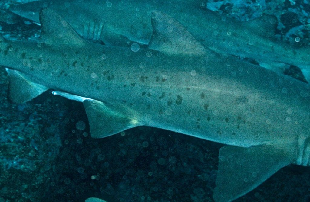 7476ddd3-0a8a-4611-ae02-91d1b2726f73