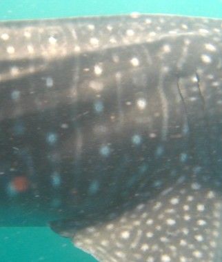 38da85f5-c072-4902-aeb0-7233bc23952b