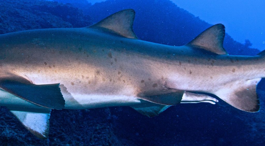 e082b8f3-2b54-497a-aaf9-874f0c4956e7