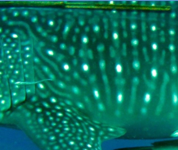 2a610132-6b7e-4900-b07b-5a4ab3271a44