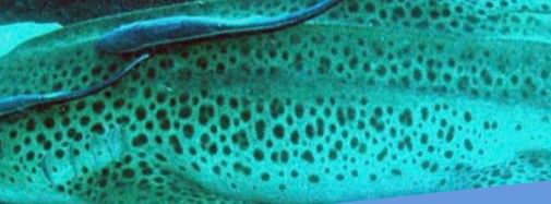 8efb8026-1d08-4587-ba39-0769dedc540d