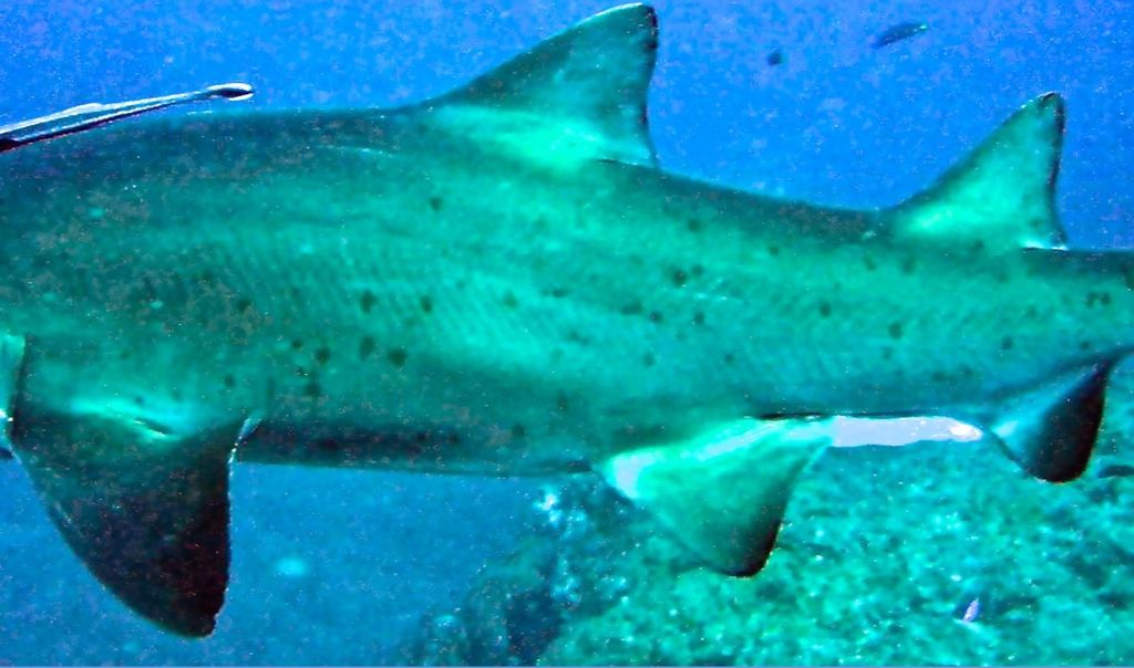 78d588eb-6a4f-407c-902a-a7308d2dec99